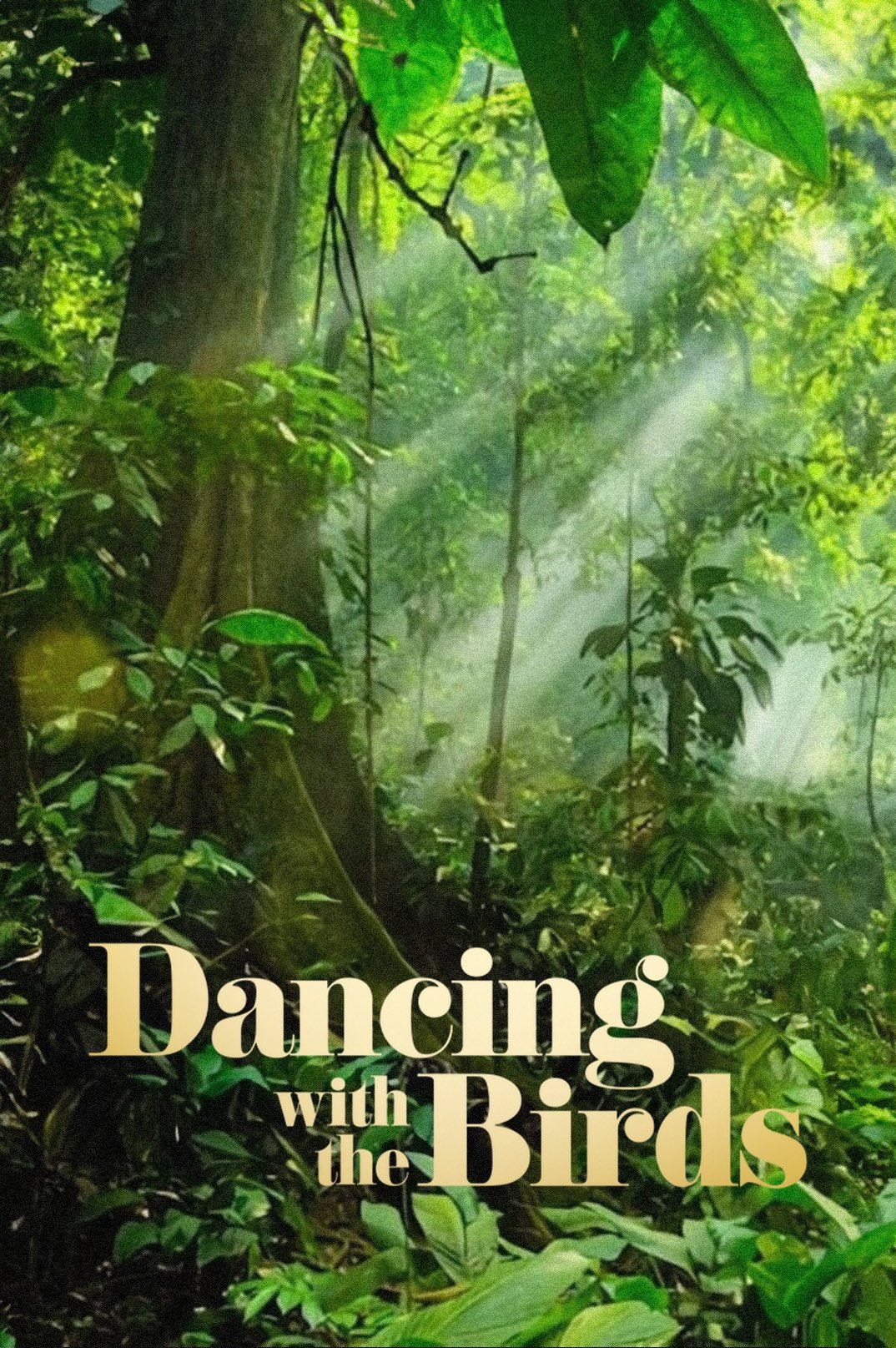 Постер Dancing with the Birds